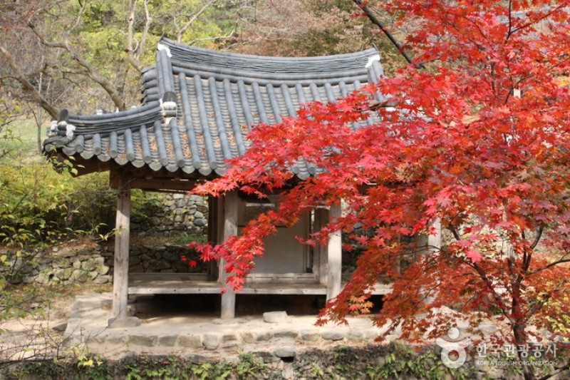 瀟灑園 (16/19)