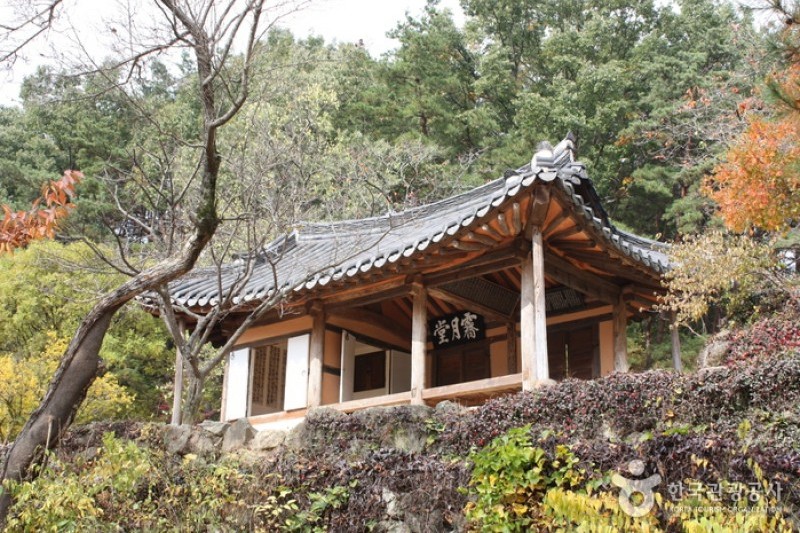瀟灑園 (17/19)