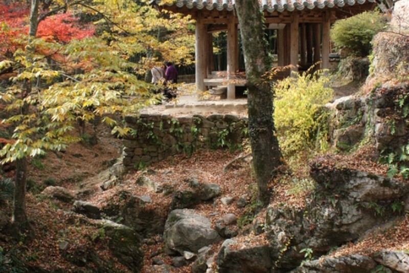 瀟灑園 (18/19)