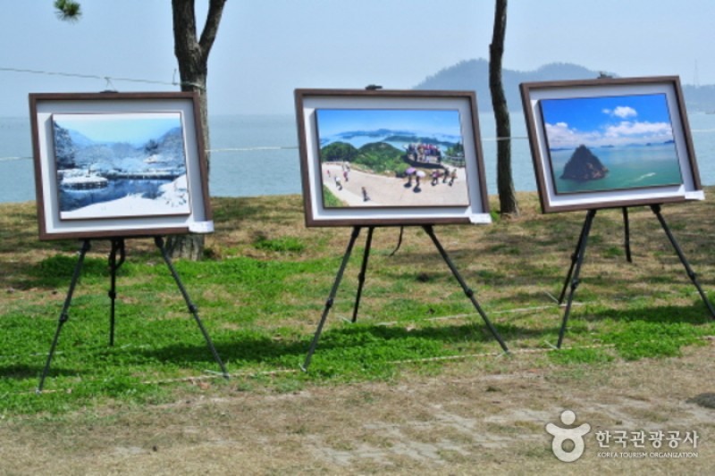 珍島神秘の海割れ祭り (4/32)