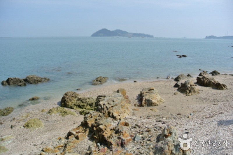 珍島神秘の海割れ祭り (5/32)