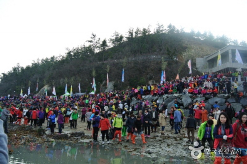 珍島神秘の海割れ祭り (13/32)