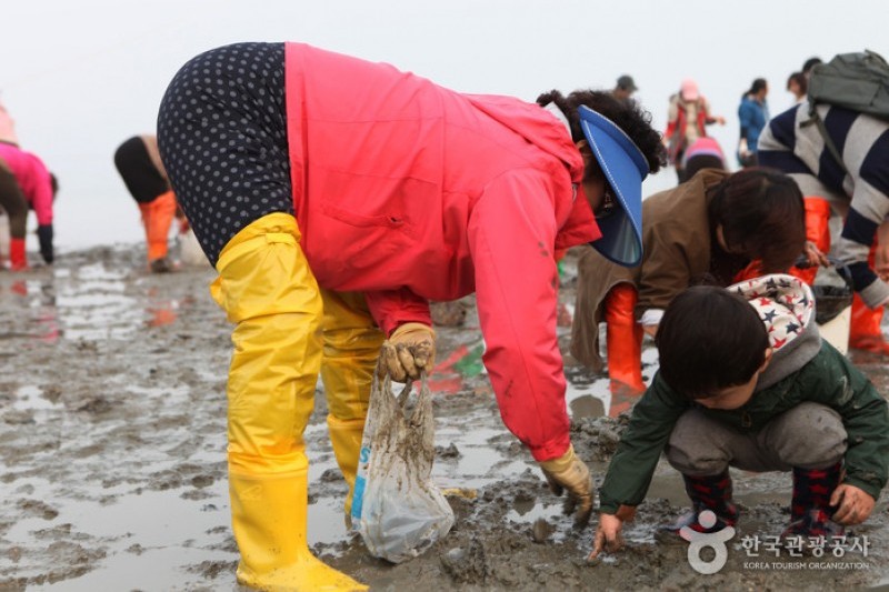 珍島神秘の海割れ祭り (31/32)