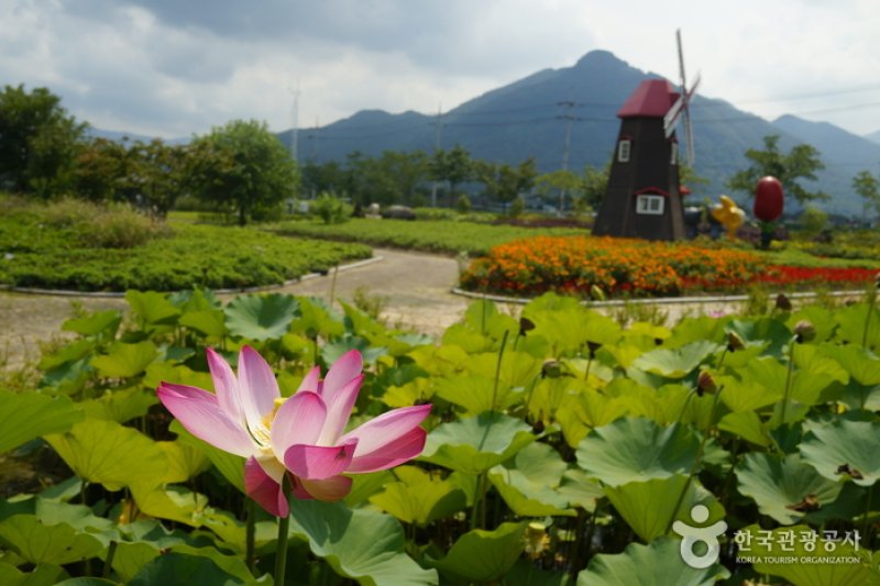 智異山国立公園 (11/12)