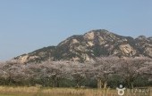 月出山国立公園