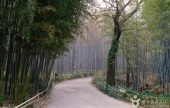 テナムゴルテーマ公園