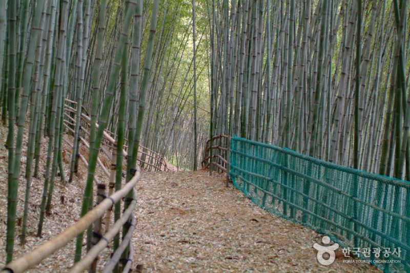 テナムゴルテーマ公園 (9/10)