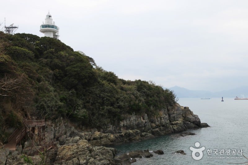 梧桐島 (2/20)
