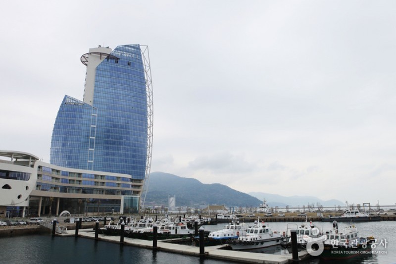梧桐島 (5/20)