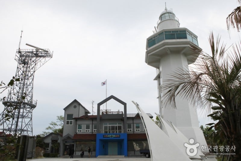 梧桐島 (9/20)