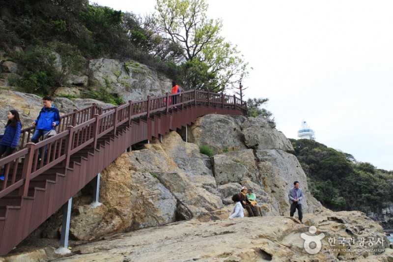 梧桐島 (19/20)