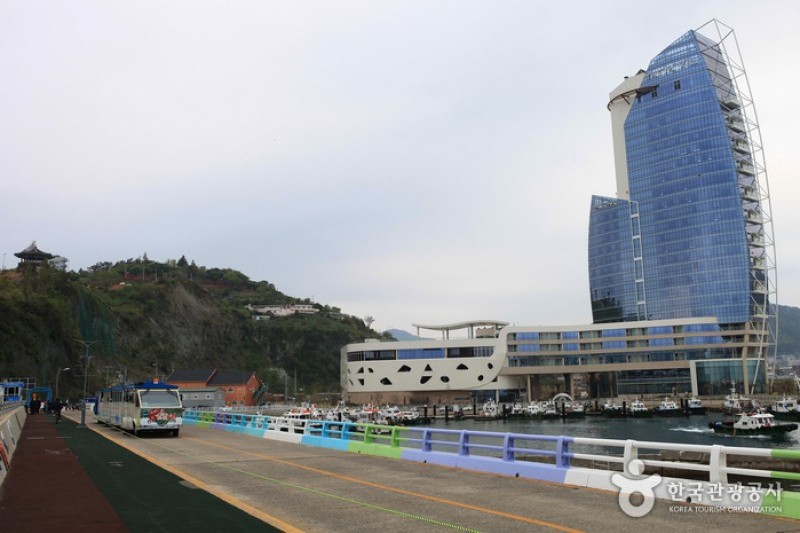 梧桐島 (20/20)