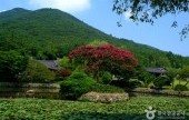 雲林山房