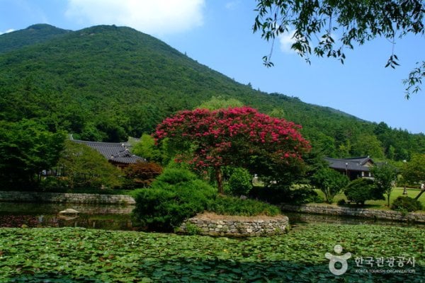 雲林山房