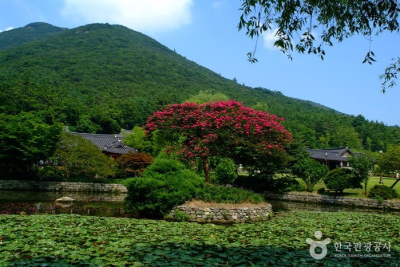 雲林山房 (1/7)