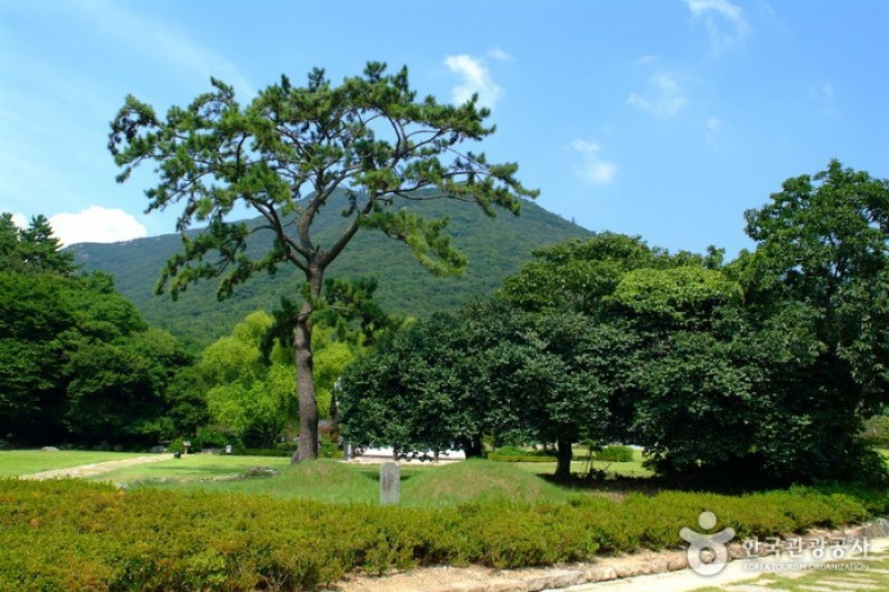 雲林山房 (2/7)
