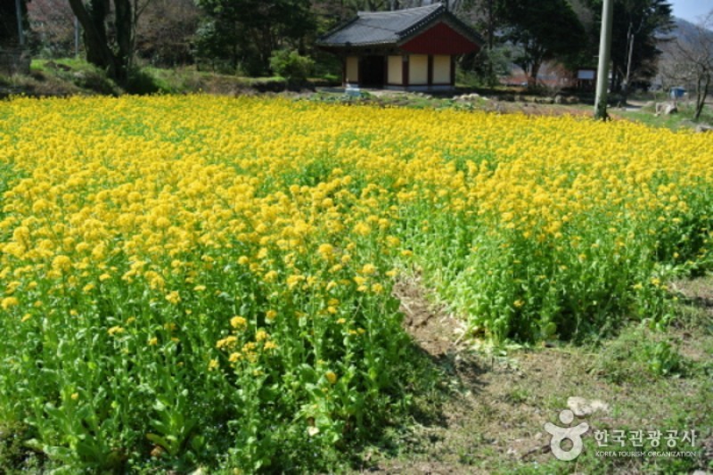 双渓寺（珍島）（쌍계사 (17/18)