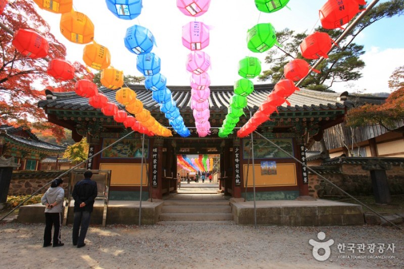 白羊寺 (6/19)