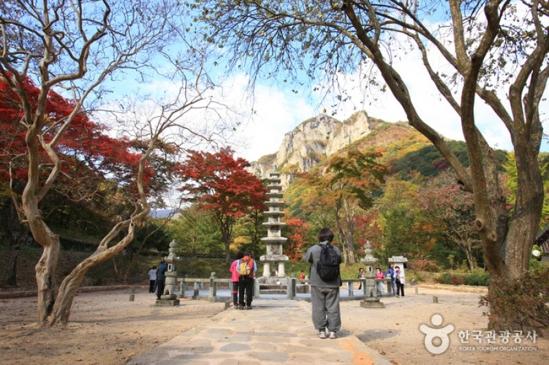 白羊寺 (8/19)