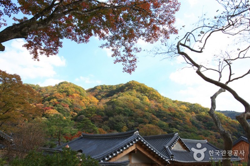 白羊寺 (9/19)