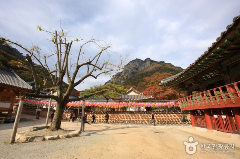 白羊寺 (16/19)