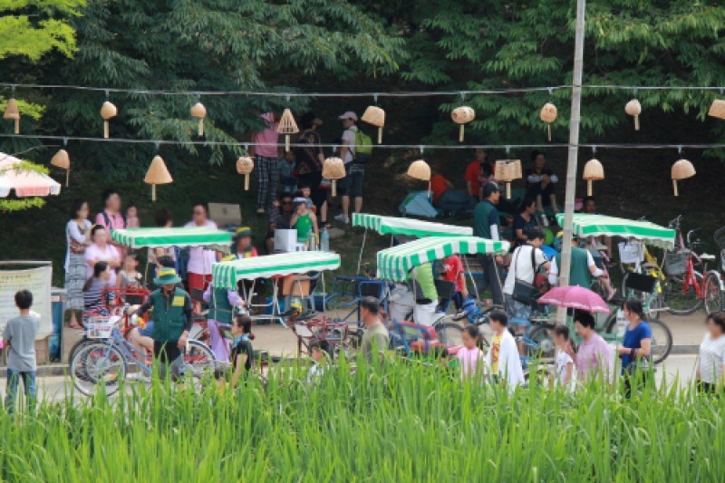 潭陽竹祭り (5/15)