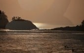 曽島