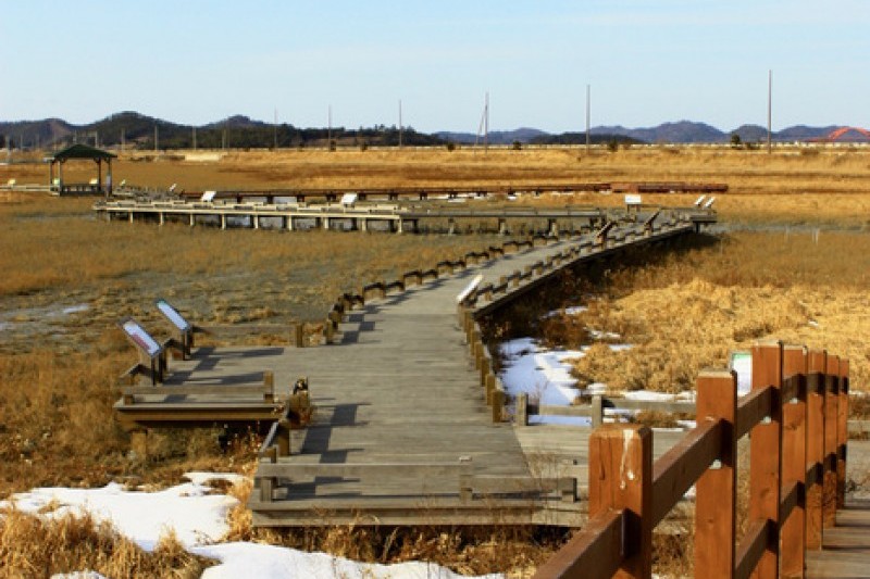 曽島 (2/10)