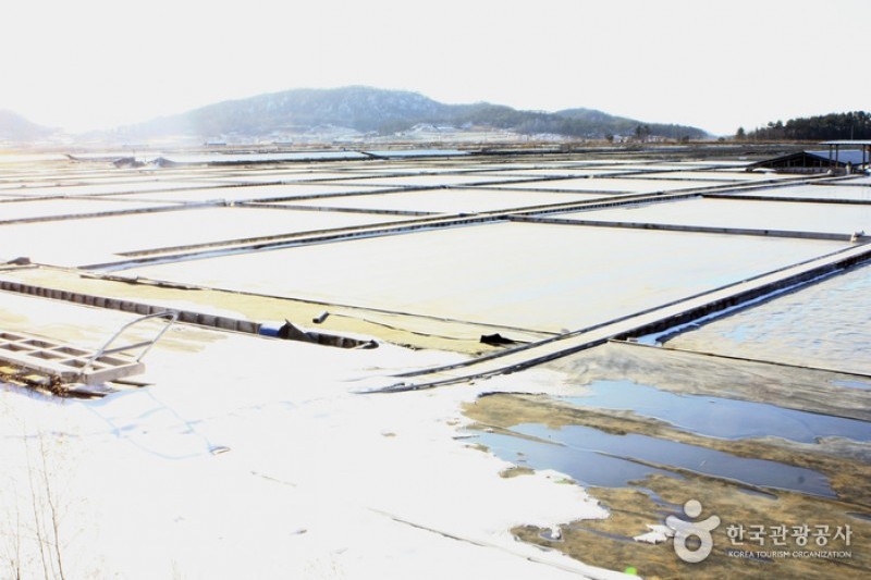 曽島 (3/10)