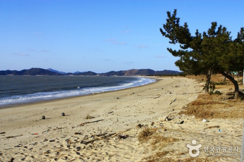 曽島 (4/10)