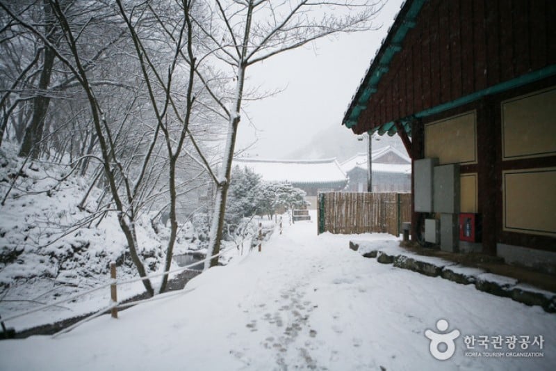 大興寺（海南）（대흥사 (25/34)