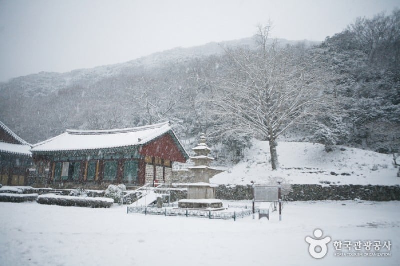 大興寺（海南）（대흥사 (28/34)