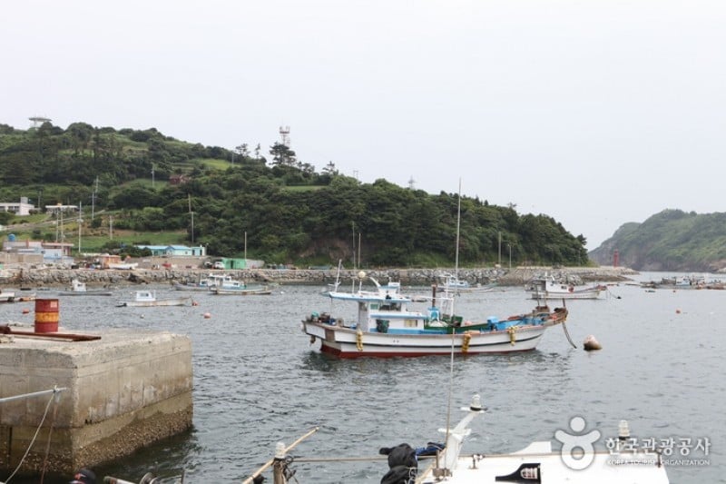 巨文島 (5/42)
