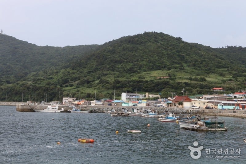 巨文島 (6/42)
