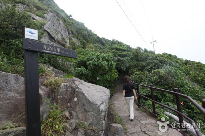 巨文島 (18/42)