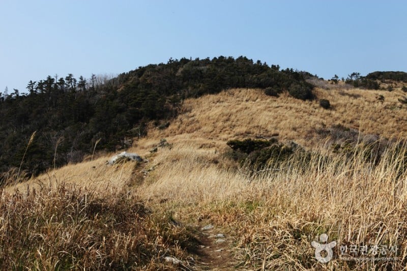 巨文島 (34/42)