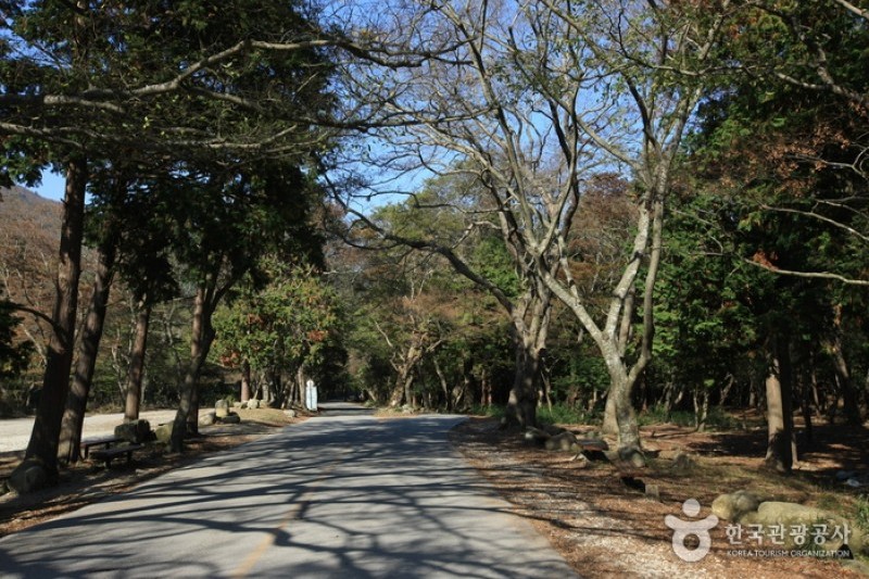 頭輪山道立公園 (1/52)