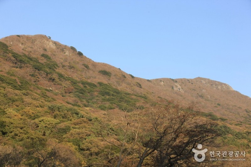 頭輪山道立公園 (44/52)
