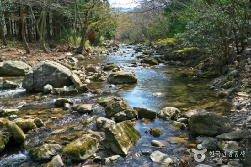 頭輪山道立公園 (50/52)