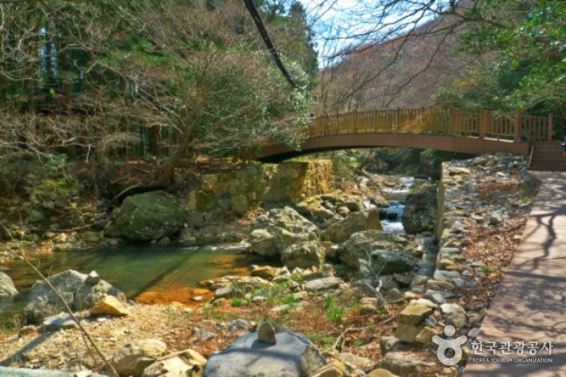 頭輪山道立公園 (52/52)