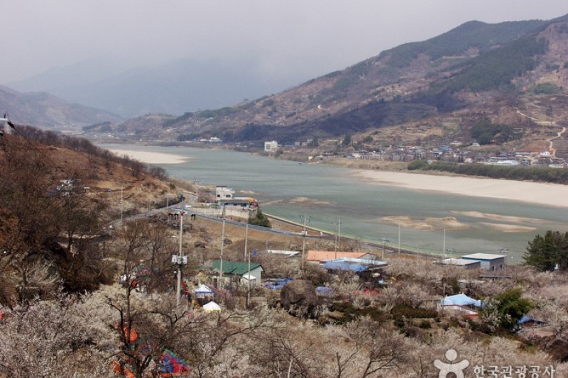 光陽 梅花村 (1/2)