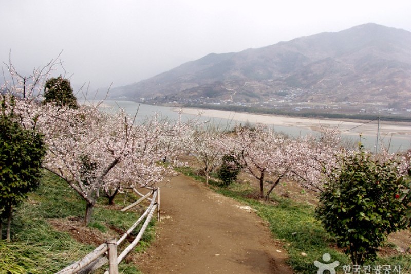 光陽 梅花村 (2/2)