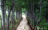 茶山草堂