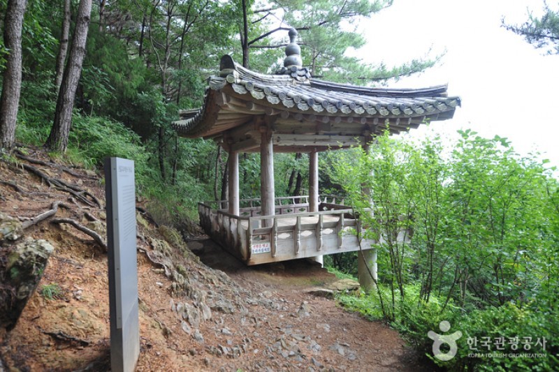 茶山草堂 (5/18)