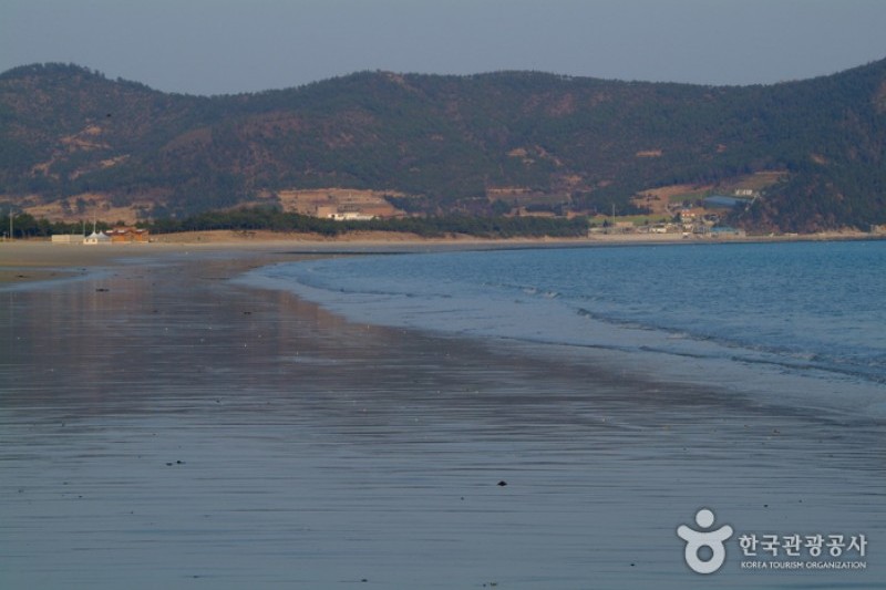 薪智鳴沙十里海水浴場 (2/26)