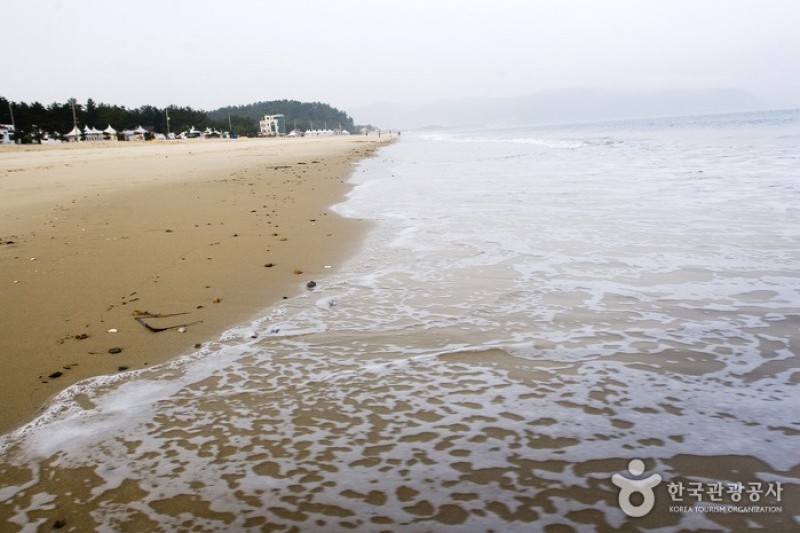 薪智鳴沙十里海水浴場 (14/26)