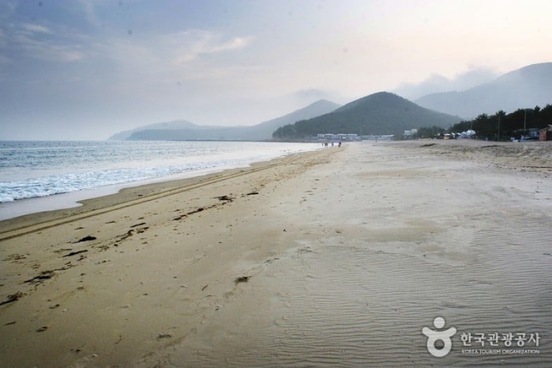 薪智鳴沙十里海水浴場 (15/26)