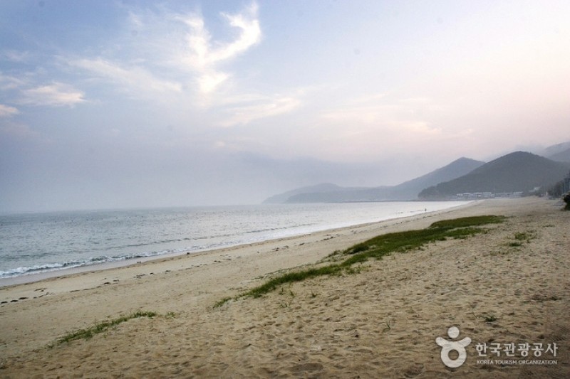 薪智鳴沙十里海水浴場 (16/26)
