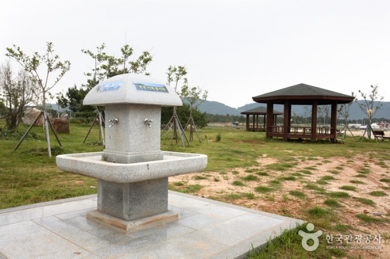 薪智鳴沙十里海水浴場 (18/26)