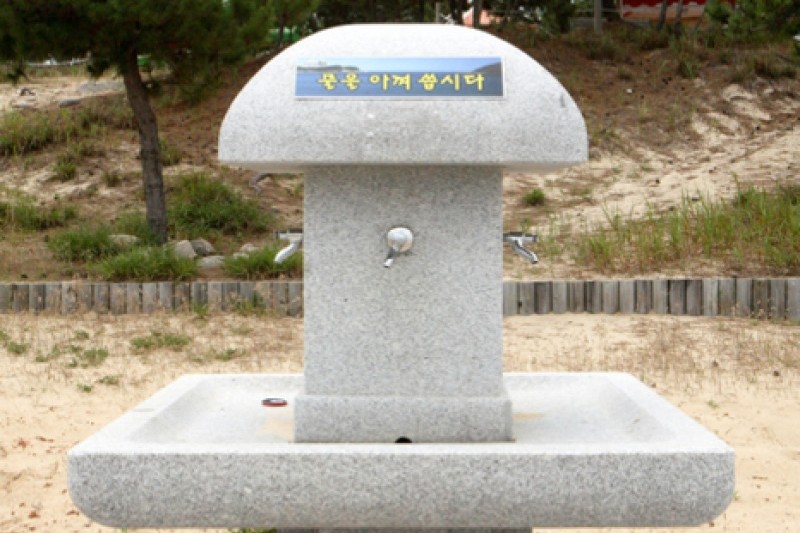 薪智鳴沙十里海水浴場 (19/26)